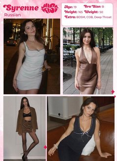 Miss Kiss Only Top Girls - escort agency in Dubai Photo 15 of 18