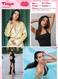 Miss Kiss Only Top Girls - escort agency in Dubai Photo 21 of 27