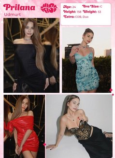 Miss Kiss Only Top Girls - escort agency in Dubai Photo 25 of 27