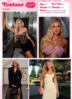 Miss Kiss Only Top Girls - escort agency in Dubai Photo 14 of 28