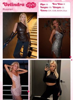 Miss Kiss Only Top Girls - escort agency in Dubai Photo 14 of 29