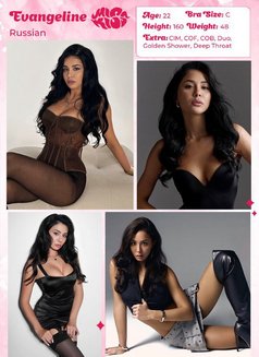 Miss Kiss Only Top Girls - escort agency in Dubai Photo 28 of 28