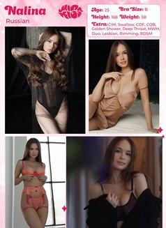 Miss Kiss Only Top Girls - escort agency in Dubai Photo 28 of 30