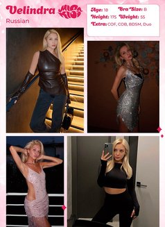 Miss Kiss Only Top Girls - Agencia de putas in Dubai Photo 12 of 24