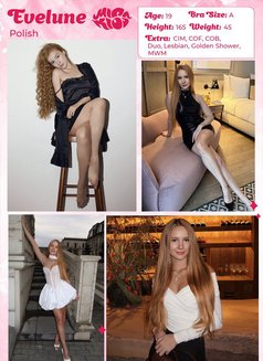 Miss Kiss Only Top Girls - Agencia de putas in Dubai Photo 26 of 26