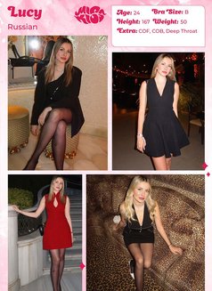 Miss Kiss Only Top Girls - escort agency in Dubai Photo 18 of 27