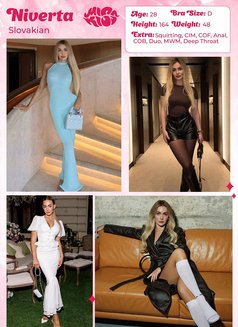 Miss Kiss Only Top Girls - escort agency in Dubai Photo 22 of 25
