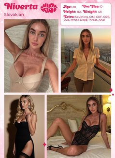 Miss Kiss Only Top Girls - escort agency in Dubai Photo 20 of 24