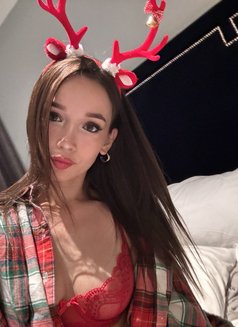 Miss. Leen - escort in Milan Photo 6 of 8