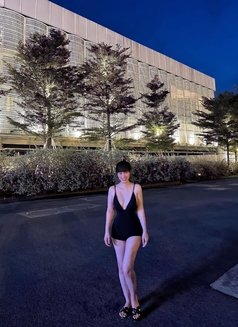 Miss Malisa Outcall Overnight - escort in Dubai Photo 2 of 10