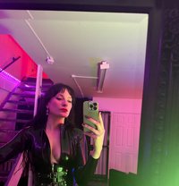 Miss May - escort in Berlin