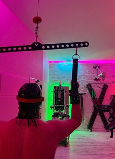 Miss May - escort in Prague (Praha) Photo 1 of 9