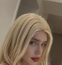 Mealania - Acompañantes transexual in Copenhagen