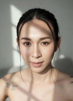 Miss Megan557 - Transsexual escort in Stavanger Photo 1 of 16