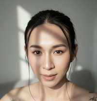 Miss Megan557 - Transsexual escort in Stavanger