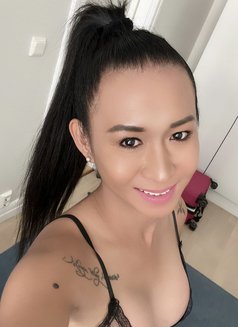 Miss Megan557 - Transsexual escort in Stavanger Photo 11 of 16