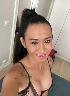 Miss Megan557 - Transsexual escort in Stavanger Photo 14 of 16