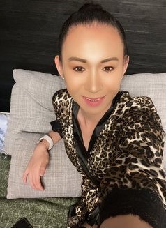 Miss Megan557 - Transsexual escort in Stavanger Photo 15 of 16