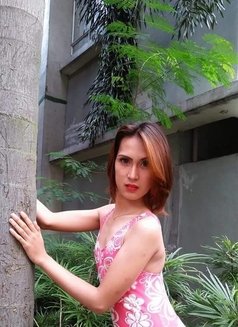 Miss. Mhia - Transsexual escort in Manila Photo 1 of 7