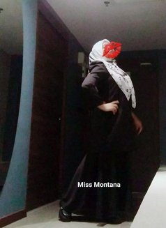 Miss Montana - puta in Kuala Lumpur Photo 22 of 24