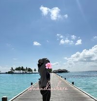 Miss Nandini (Content & Meets) - escort in Noida