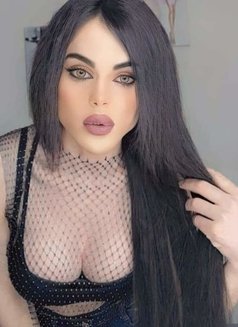 Miss Nourhan - Transsexual escort agency in Beirut Photo 1 of 9