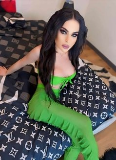 Miss Nourhan - Transsexual escort agency in Beirut Photo 3 of 9