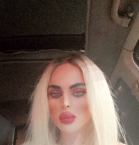 Miss Nourhan - Transsexual escort agency in Beirut