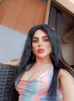 Miss Nourhan - Transsexual escort in Beirut Photo 10 of 25