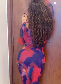 Miss Prada | True GFE | Companion : - escort in Colombo Photo 7 of 11