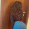 Miss Prada | True GFE | Companion : - escort in Colombo Photo 3 of 9