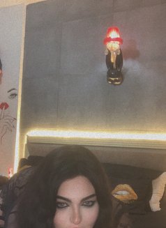 Miss Razan 18 cm - Acompañantes transexual in Beirut Photo 23 of 23