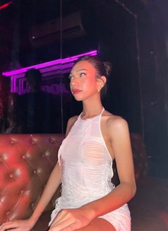 Miss Seppi - Transsexual escort in Manila Photo 3 of 4