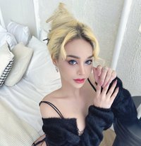 Miss Shell168 - Transsexual escort in Kuala Lumpur