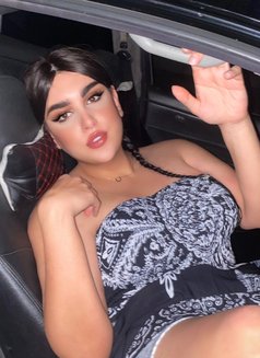 Miss world Daina - Acompañantes transexual in Beirut Photo 16 of 17
