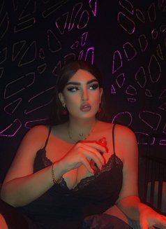 Miss world Daina - Acompañantes transexual in Beirut Photo 1 of 22
