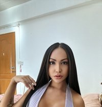 MissBarbie69 - Transsexual escort in Bangkok Photo 24 of 24