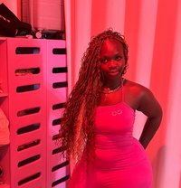 Misslisa - escort in Hofuf