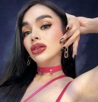 FilAussie - Transsexual escort in Angeles City