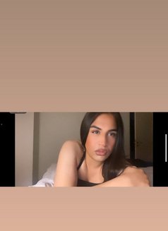 Missmimi - Transsexual escort in Bangkok Photo 1 of 2