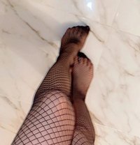 Misssthy - escort in Khobar