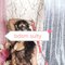 Missters vedu Milf Matured Vedu meet cam - escort in New Delhi Photo 2 of 12