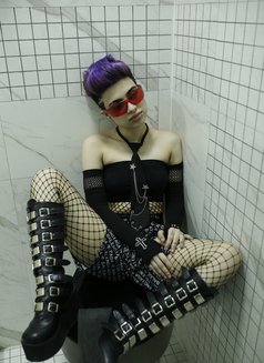 Misstress Anna - escort in Baku Photo 1 of 21