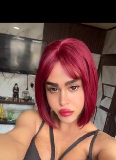 misstress annabelle - Transsexual escort in Beirut Photo 26 of 28