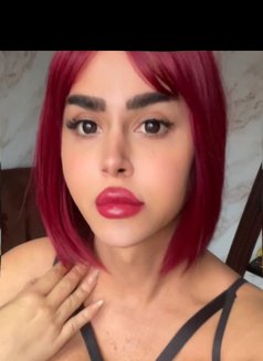 misstress annabelle - Transsexual escort in Beirut Photo 27 of 28