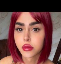 misstress annabelle - Transsexual escort in Beirut Photo 27 of 28