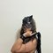 Misstress - puta in Beirut Photo 4 of 6