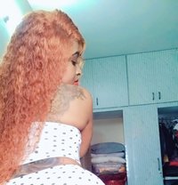 GACHIBOWLI - escort in Hyderabad