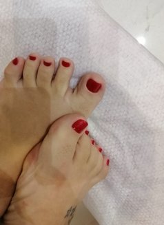 Misstress in Bahrain Feet BDSM🇧🇷 - escort in Jeddah Photo 11 of 22