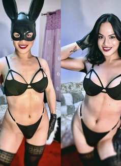 Misstress Yve-HARD-Top Ladyboy,VIP - Transsexual dominatrix in Dubai Photo 7 of 12